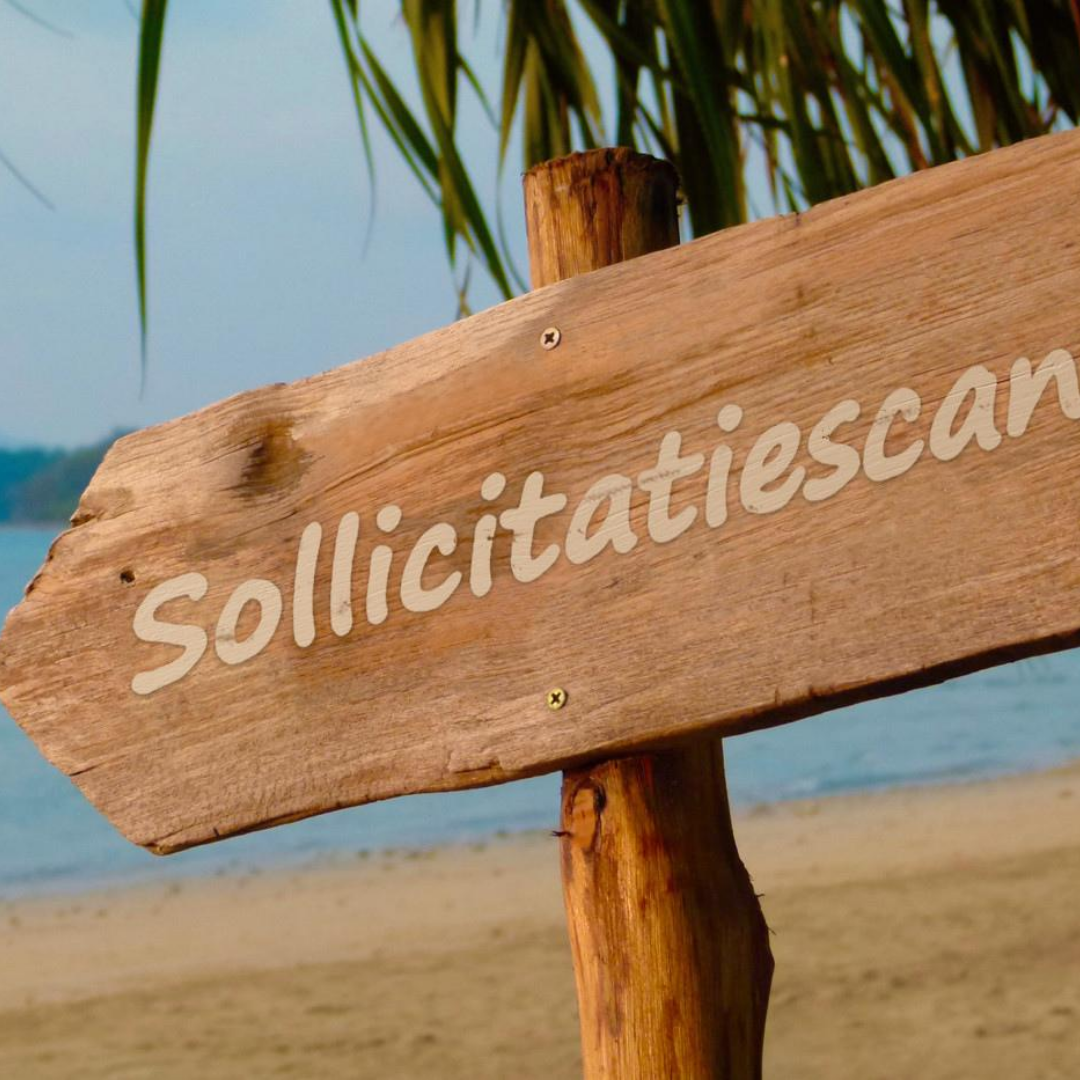 Wat is een sollicitatiescan?